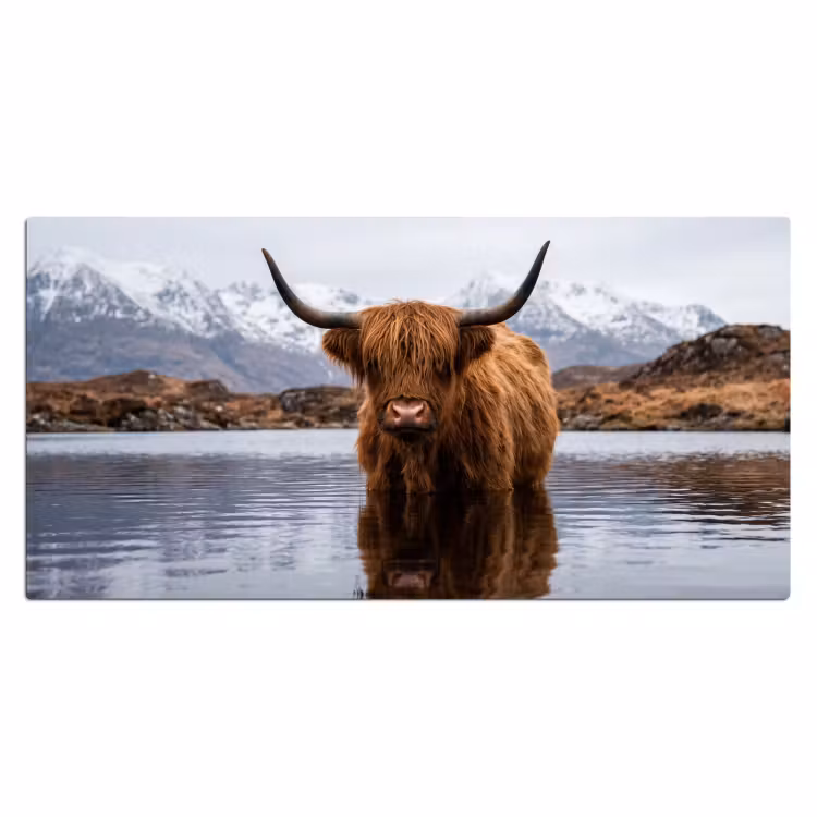 Bureau onderlegger - Schotse hooglander - Bruin - Water — 2