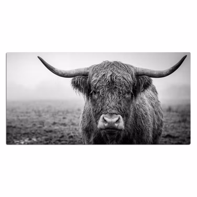 Bureau onderlegger - Schotse hooglander - Zwart - Wit - Gras — 2