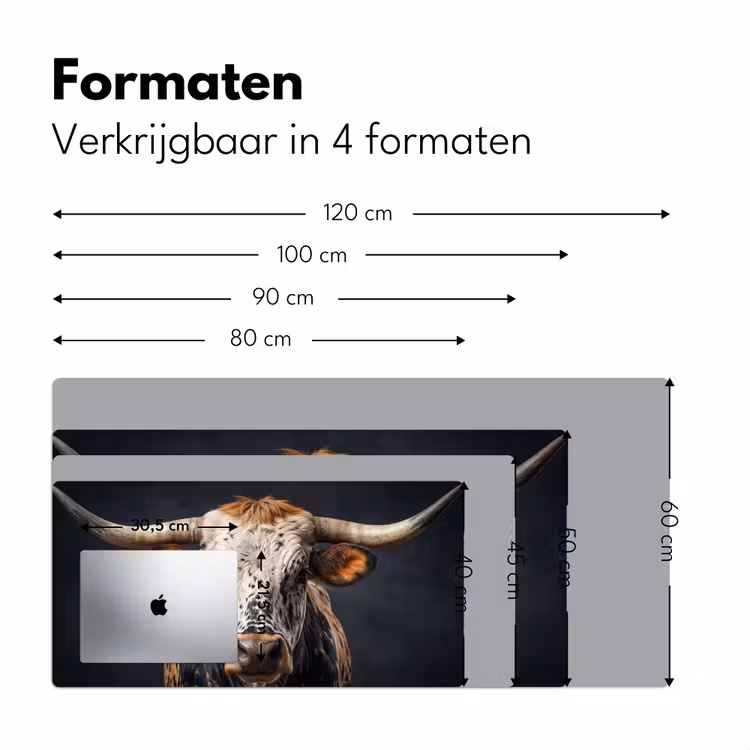 Bureau onderlegger - Stier - Kleurrijk - Hoorns — 8