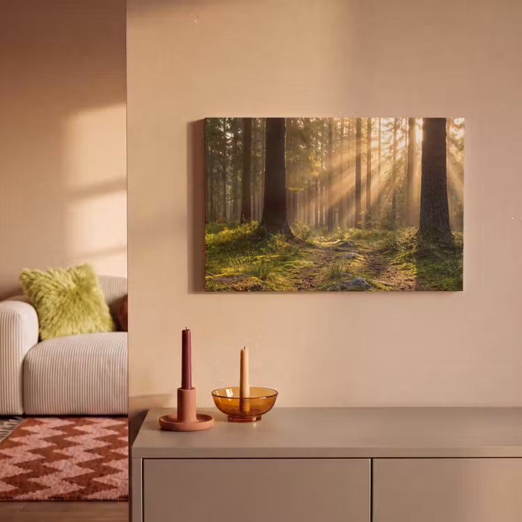 Canvas schilderij - Bos - Zonlicht - Gras — 2