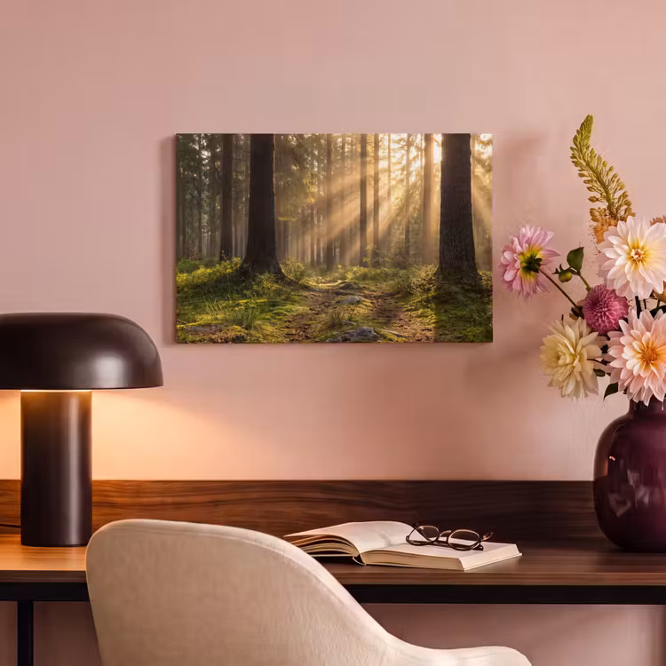 Canvas schilderij - Bos - Zonlicht - Gras — 4