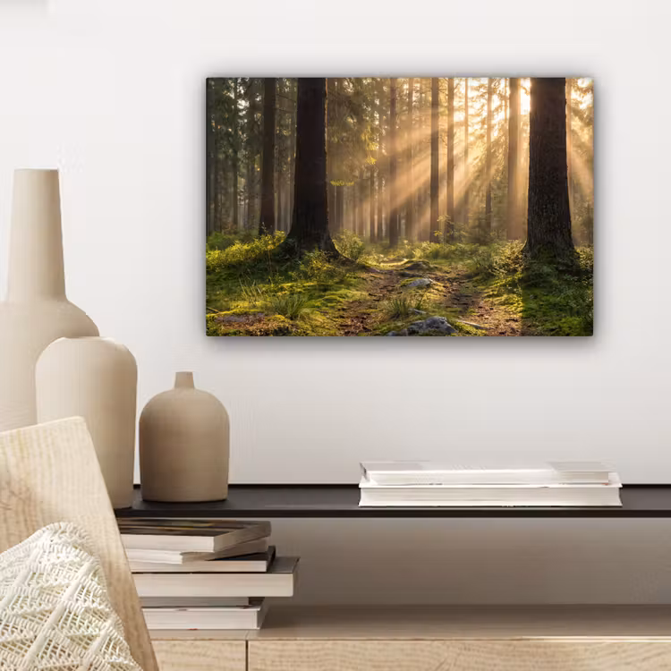 Canvas schilderij - Bos - Zonlicht - Gras — 5