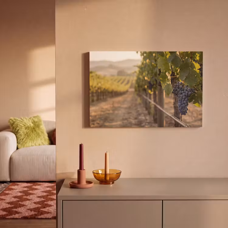 Canvas schilderij - Druiven - Wijngaard - Zonlicht — 2