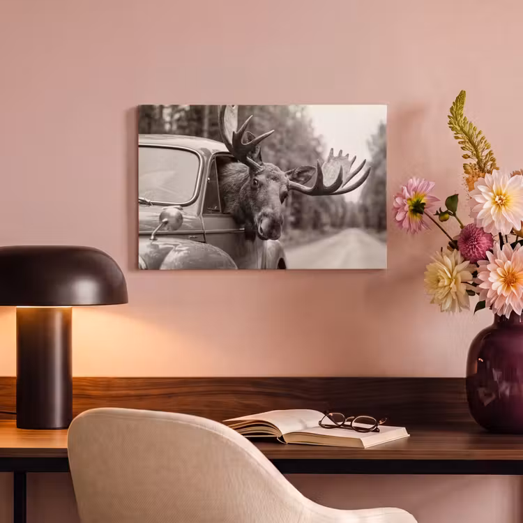 Canvas schilderij - Eland - Auto - Gewei - Zwart - Wit — 4