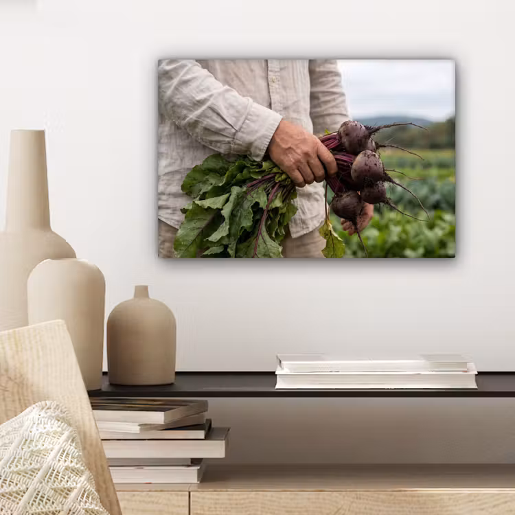Canvas schilderij - Bieten - Vers - Moestuin — 5