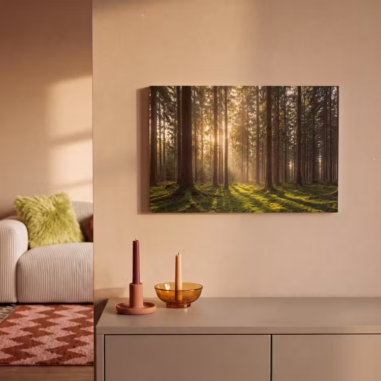 Canvas schilderij - Bos - Gras - Zonlicht — 2