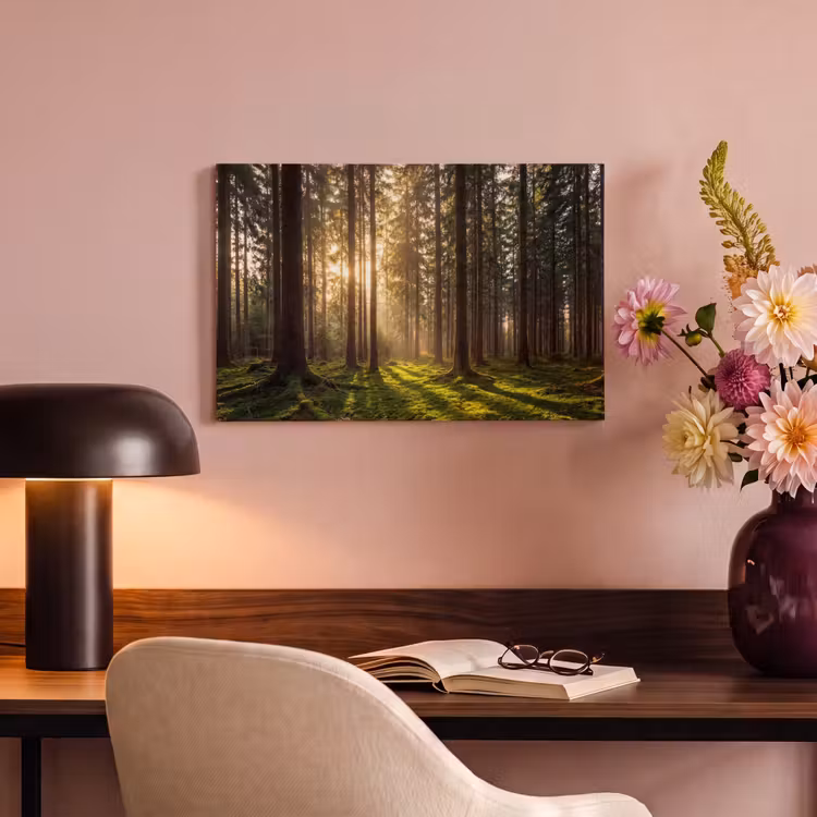 Canvas schilderij - Bos - Gras - Zonlicht — 4
