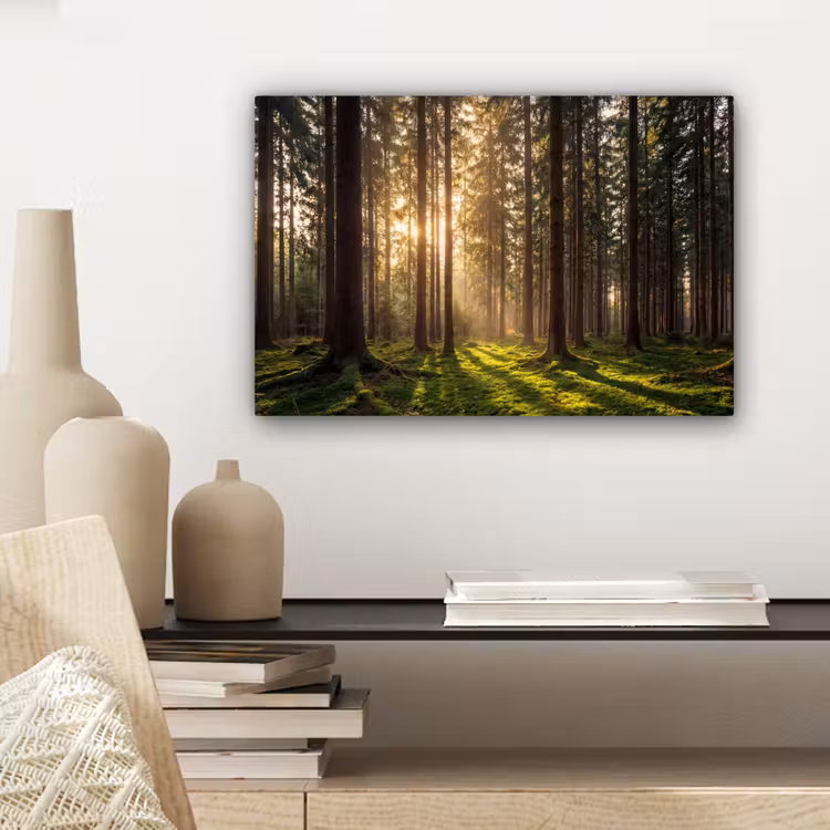 Canvas schilderij - Bos - Gras - Zonlicht — 5