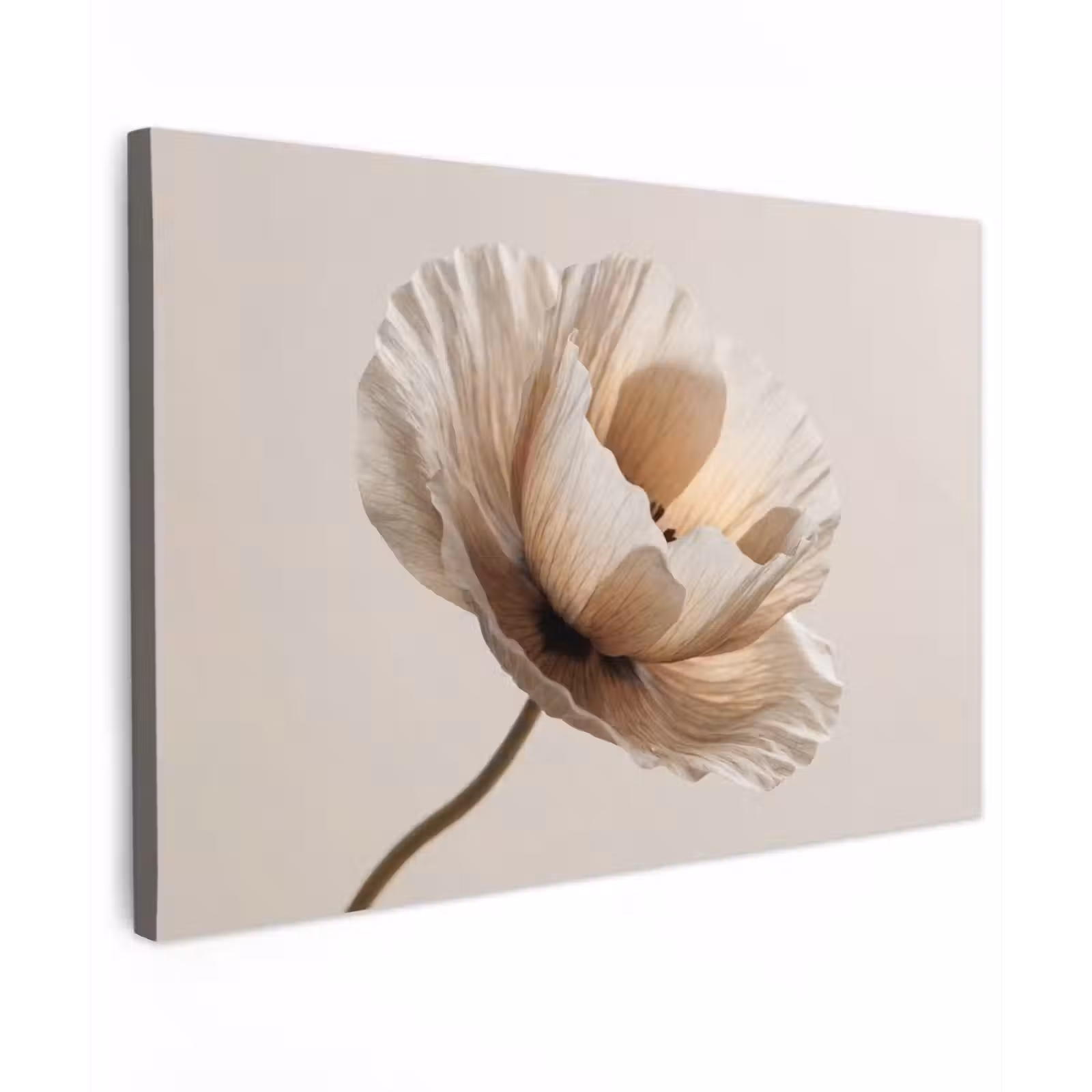 Canvas schilderij - Bloem - Beige - Crème — 1