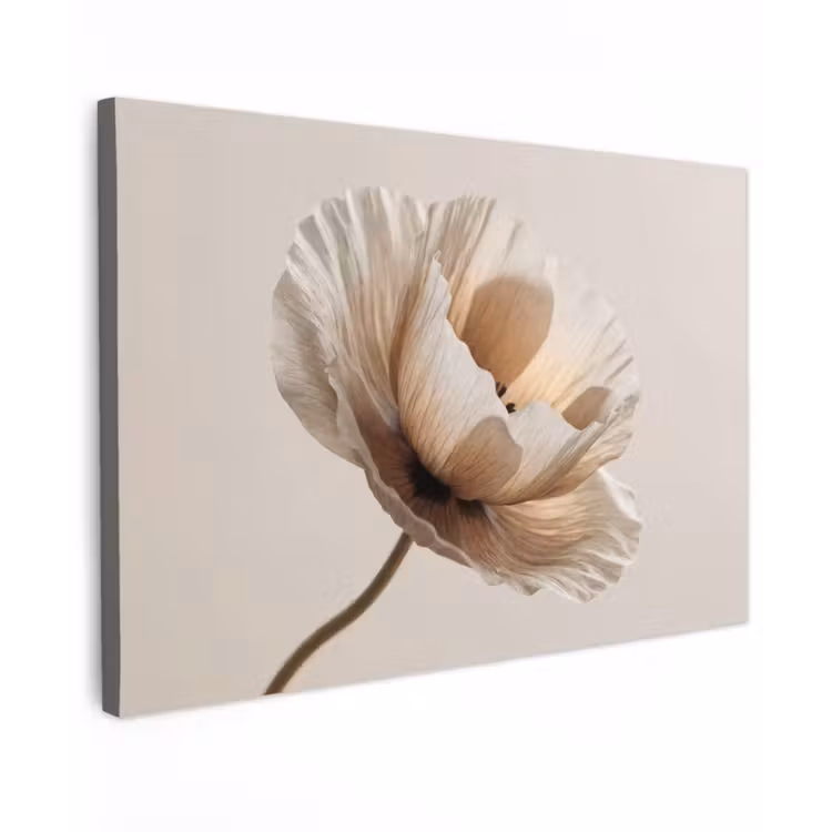 Canvas schilderij - Bloem - Beige - Crème — 1