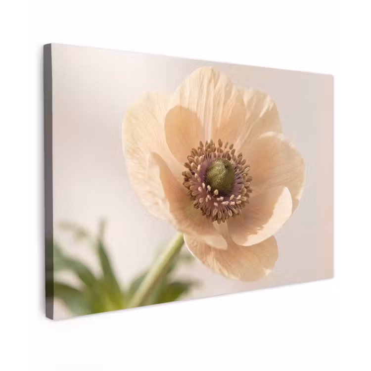 Canvas schilderij - Bloem - Minimalistisch - Groen — 1