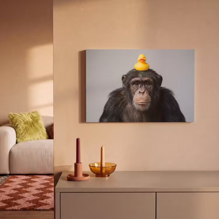Canvas schilderij - Chimpansee - Badeend - Grijs — 2