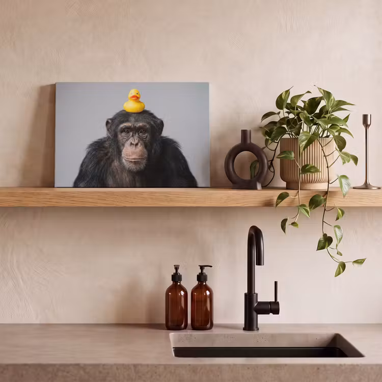 Canvas schilderij - Chimpansee - Badeend - Grijs — 3