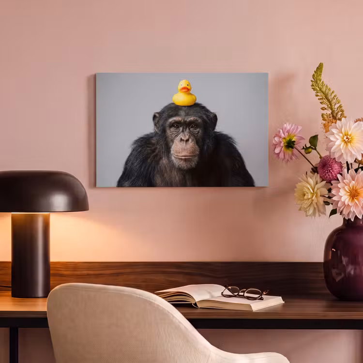 Canvas schilderij - Chimpansee - Badeend - Grijs — 4