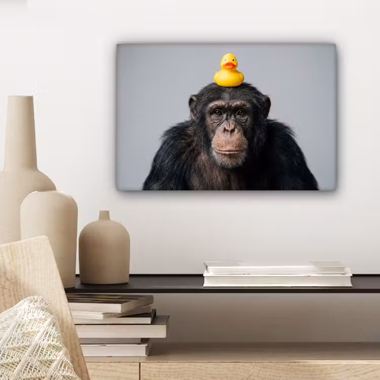 Canvas schilderij - Chimpansee - Badeend - Grijs — 5