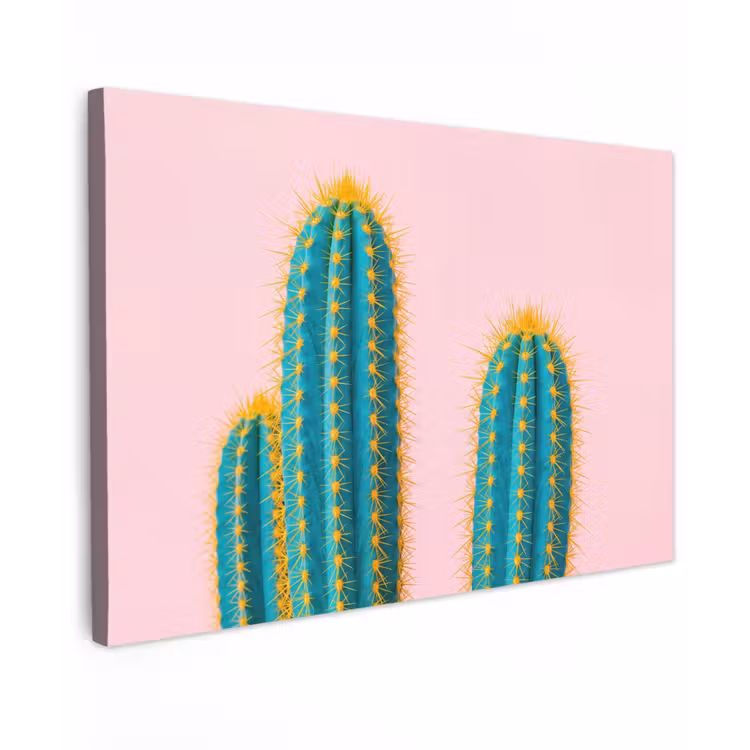 Canvas schilderij - Cactussen - Modern - Pastel — 1