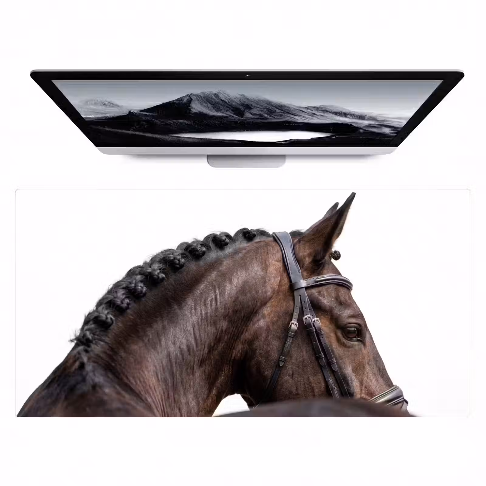 Bureau onderlegger - Portret - Paard - Elegant — 1