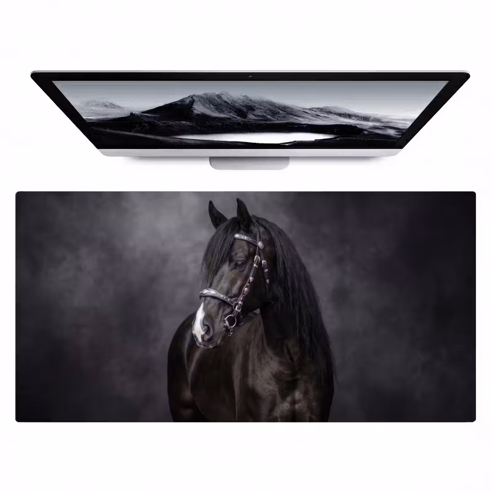 Bureau onderlegger - Portret - Paard - Zwart — 1