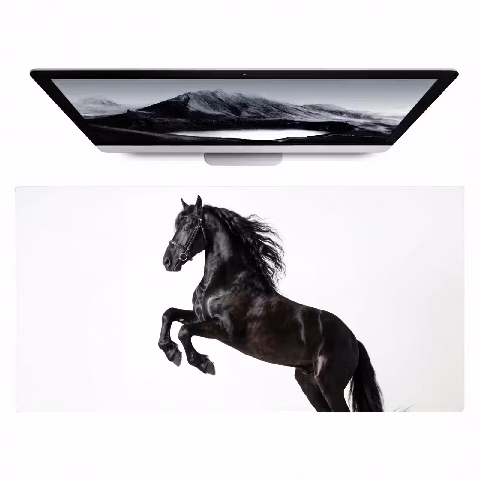 Bureau onderlegger - Zwart - Paard - Portret — 1