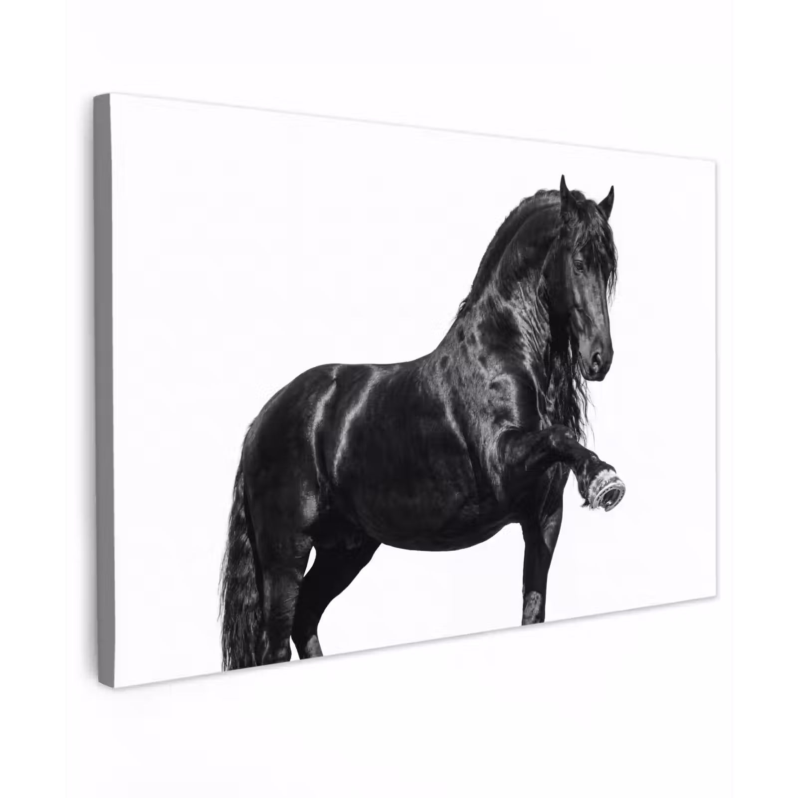 Canvas schilderij - Fries - Hengst - Modern — 1