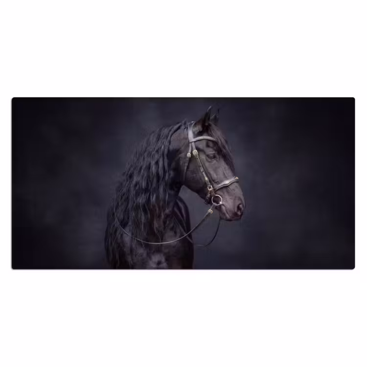 Bureau onderlegger - Portret - Paard - Donker — 2
