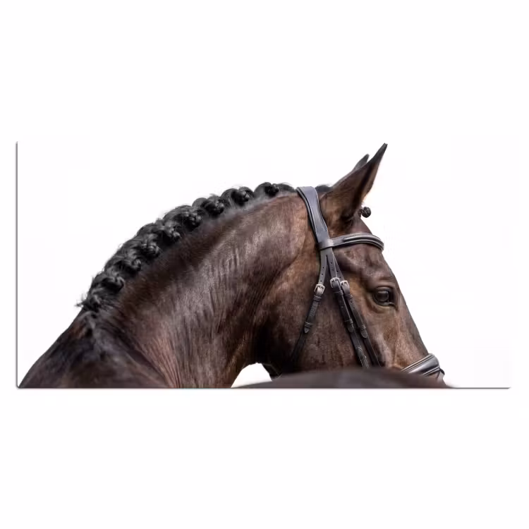 Bureau onderlegger - Portret - Paard - Elegant — 2