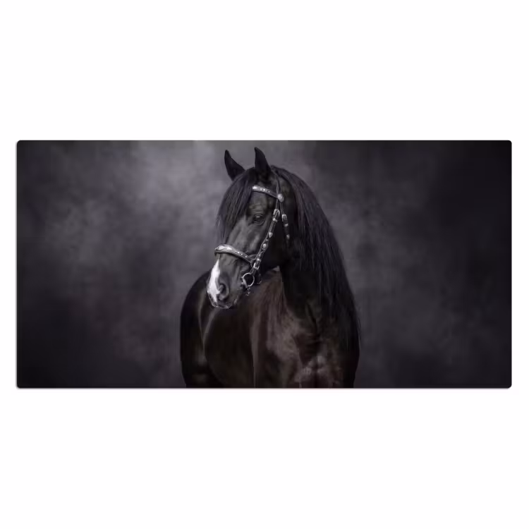 Bureau onderlegger - Portret - Paard - Zwart — 2