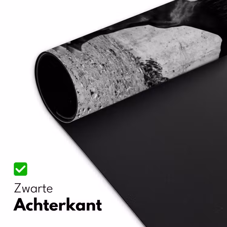 Bureau onderlegger - Vrouw - Paard - Artistiek — 5