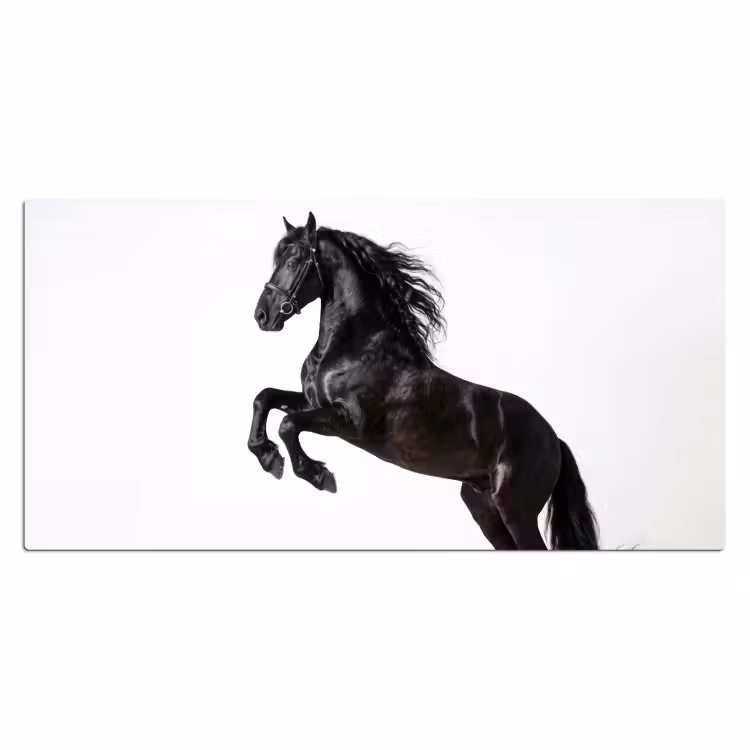 Bureau onderlegger - Zwart - Paard - Portret — 2