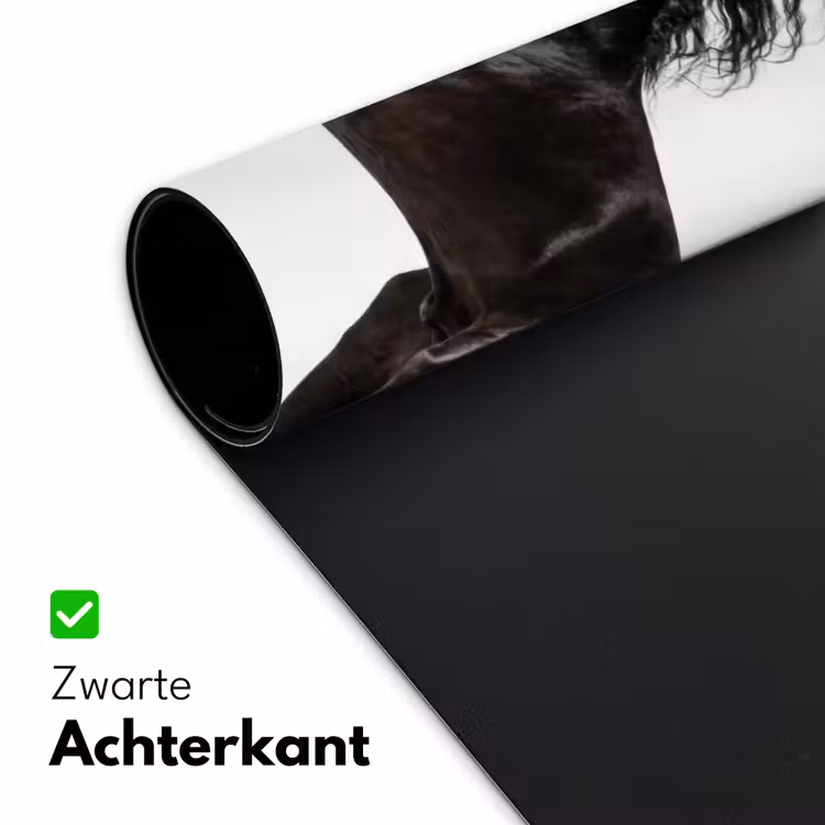 Bureau onderlegger - Zwart - Paard - Portret — 5