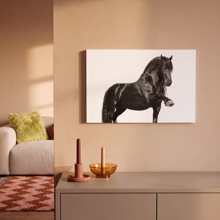 Canvas schilderij - Fries - Hengst - Modern — 2