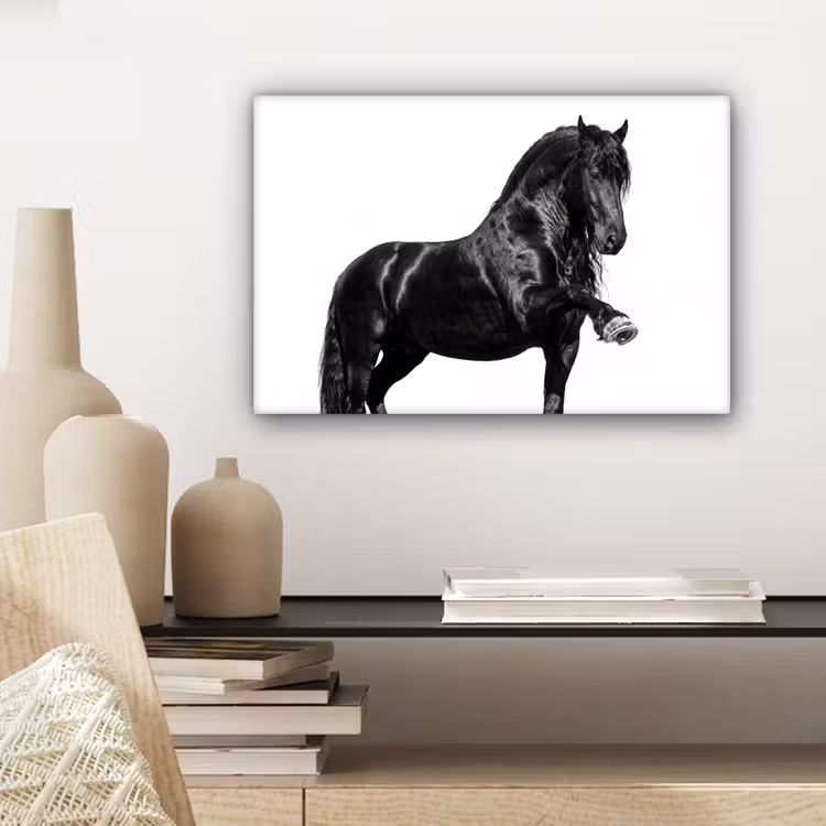 Canvas schilderij - Fries - Hengst - Modern — 5