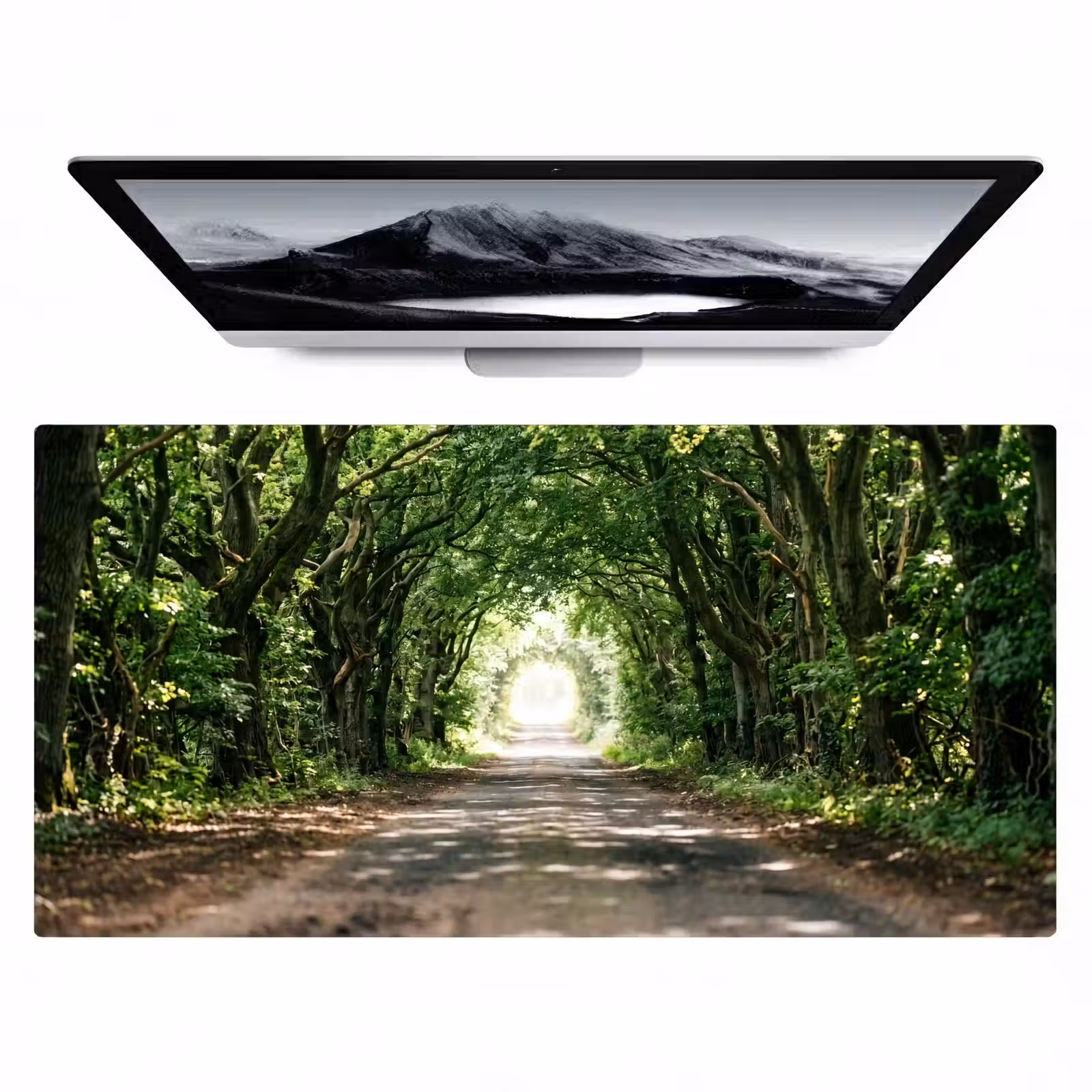 Bureau onderlegger - Weg - Bomen - Natuur - Groen — 1