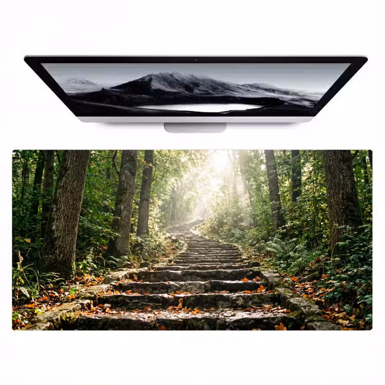 Bureau onderlegger - Stenen - Trap - Bos - Natuur — 1
