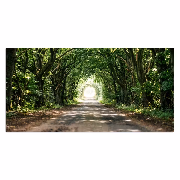 Bureau onderlegger - Weg - Bomen - Natuur - Groen — 2