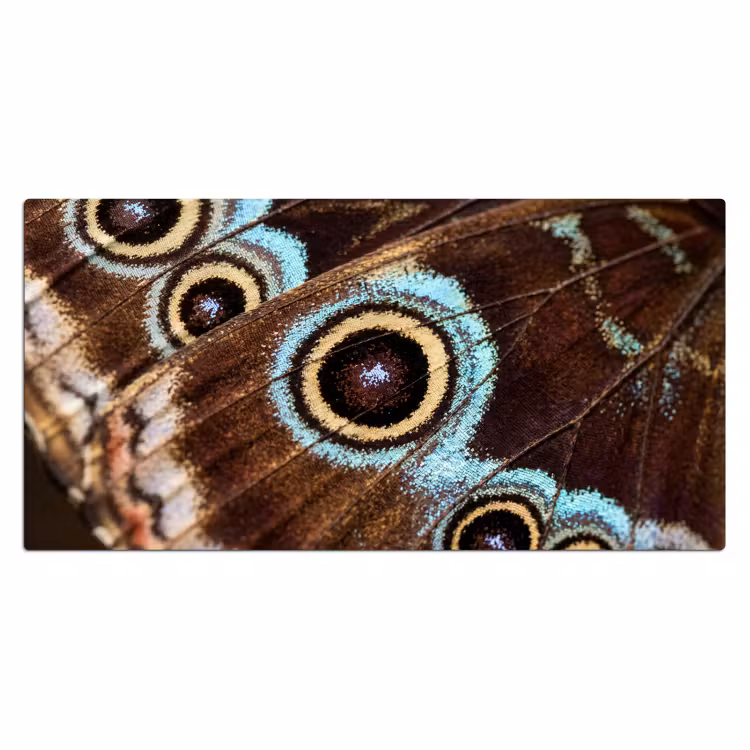 Bureau onderlegger - Vleugels - Vlinder - Blauw — 2
