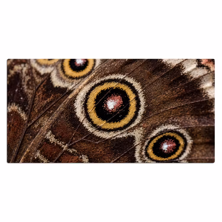 Bureau onderlegger - Vlinder - Vleugel - Abstract — 2