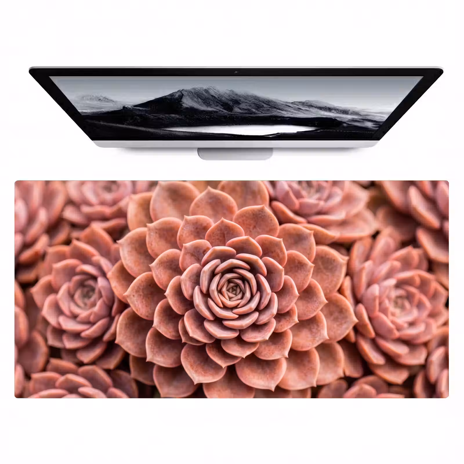 Bureau onderlegger - Vetplant - Organisch - Roze — 1