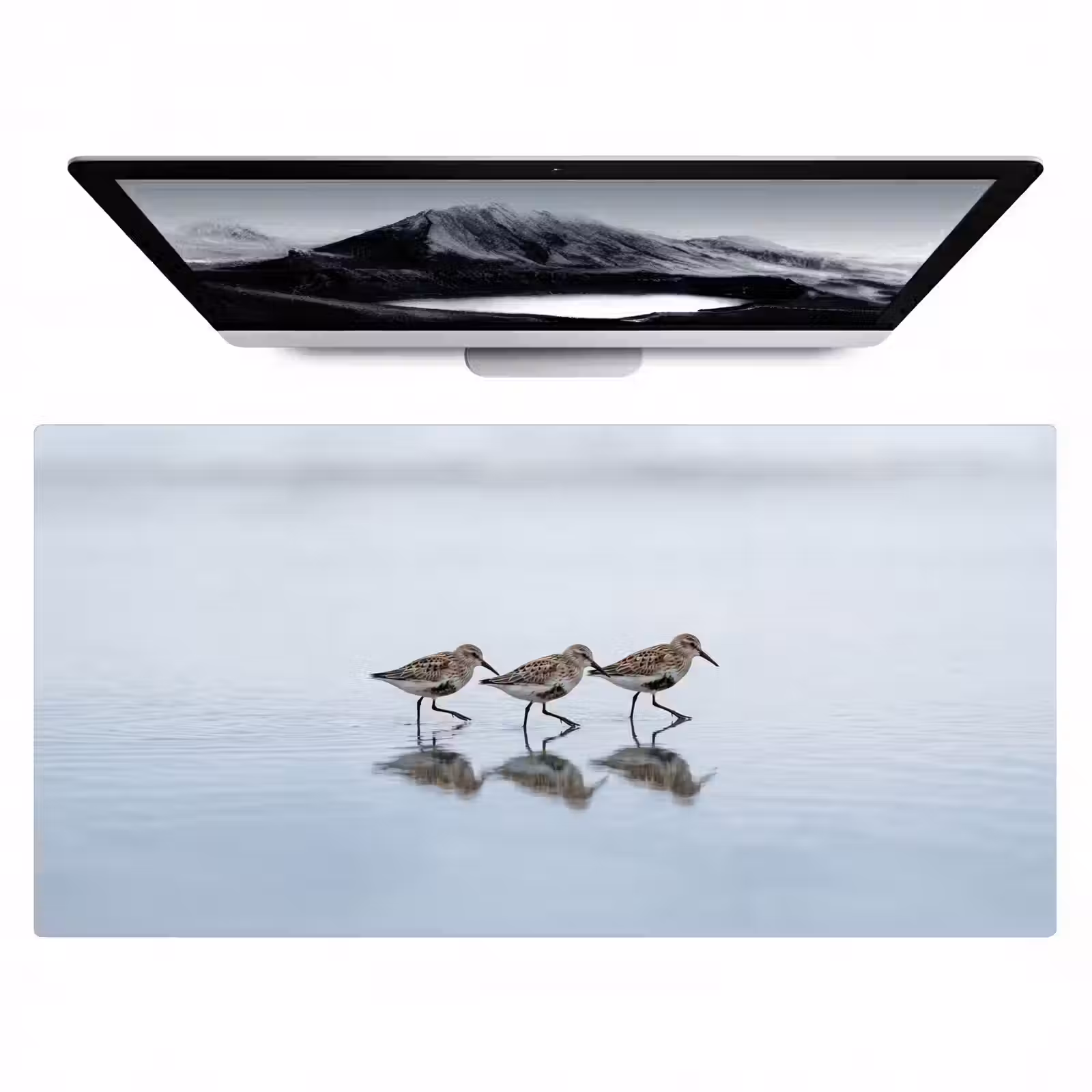 Bureau onderlegger - Vogels - Water - Grijs — 1