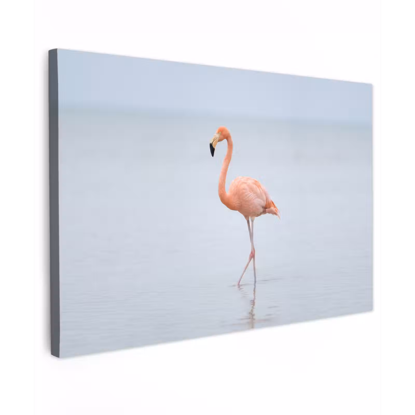 Canvas schilderij - Flamingo - Zee - Roze — 1