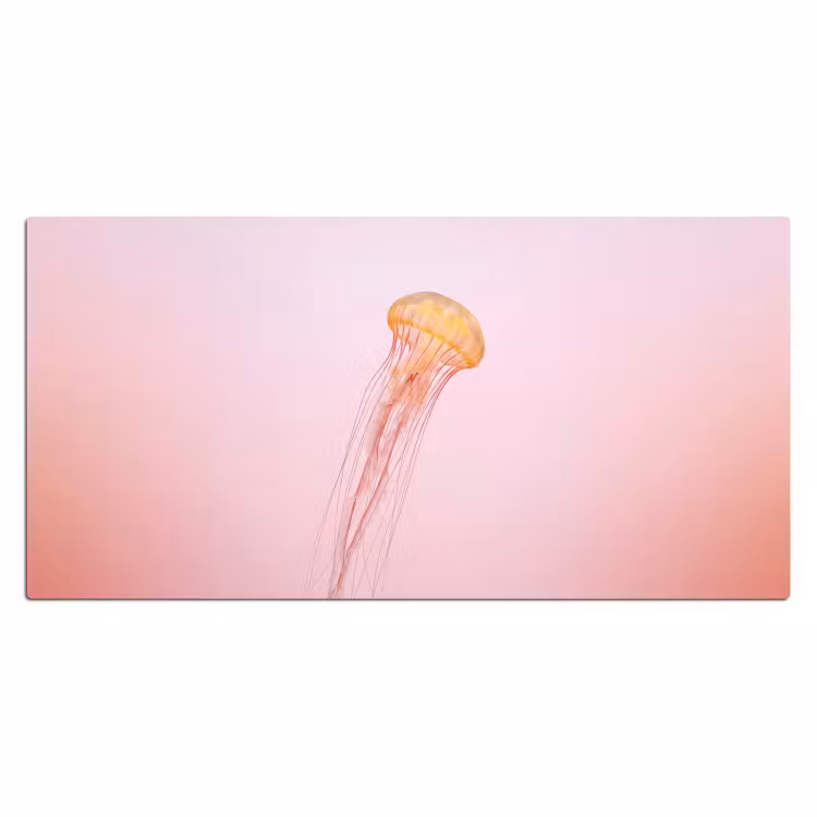 Bureau onderlegger - Sierlijk - Kwal - Roze — 2