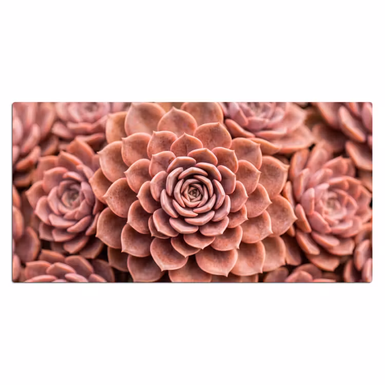 Bureau onderlegger - Vetplant - Organisch - Roze — 2