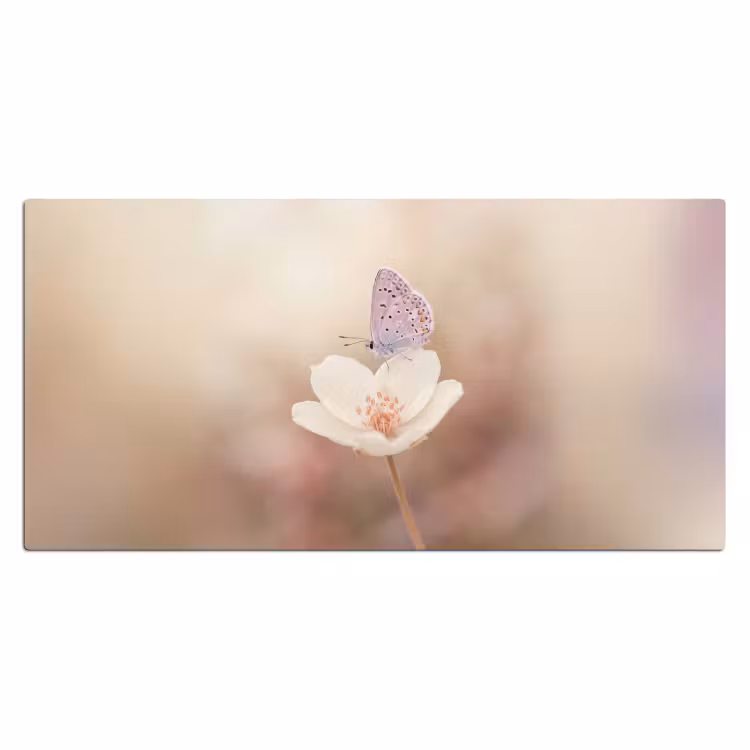 Bureau onderlegger - Vlinder - Bloem - Blauw — 2