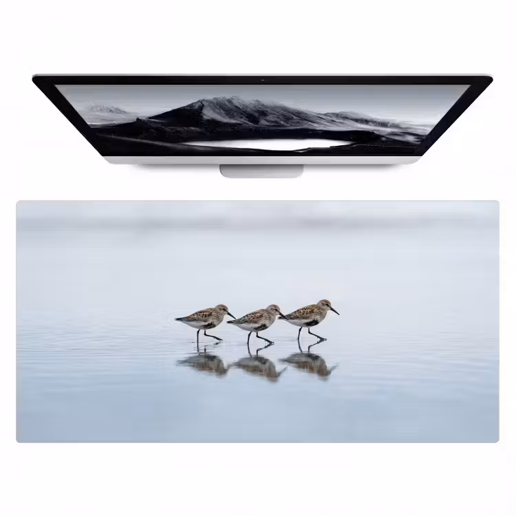 Bureau onderlegger - Vogels - Water - Grijs — 1