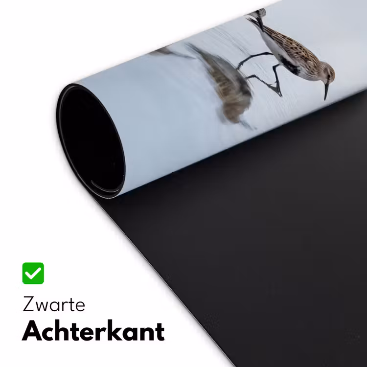 Bureau onderlegger - Vogels - Water - Grijs — 5
