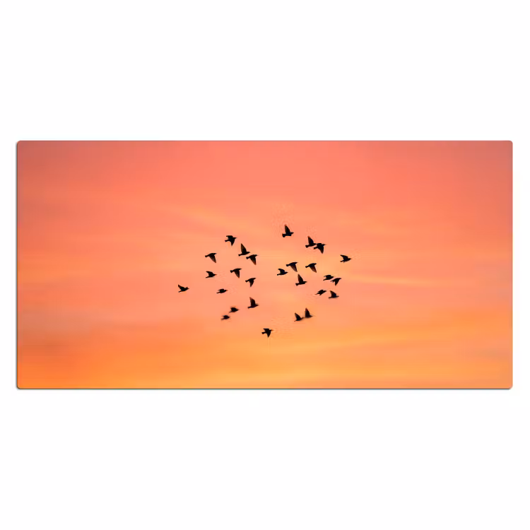 Bureau onderlegger - Zwerm - Vogels - Oranje — 2
