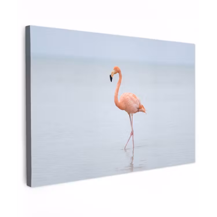 Canvas schilderij - Flamingo - Zee - Roze — 1