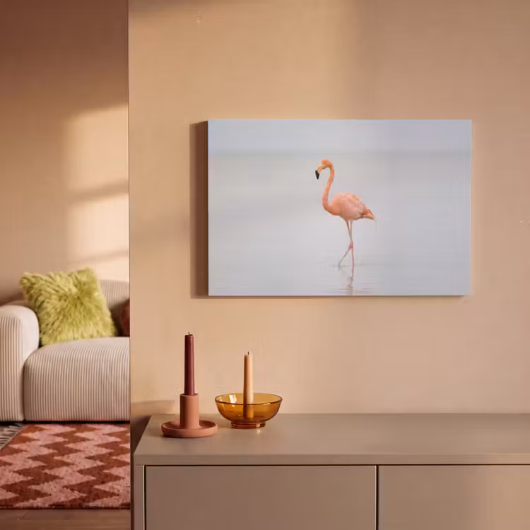 Canvas schilderij - Flamingo - Zee - Roze — 2