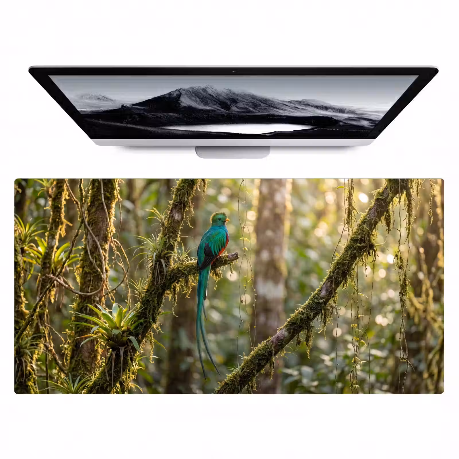 Bureau onderlegger - Quetzal - Jungle - Natuur - Groen — 1