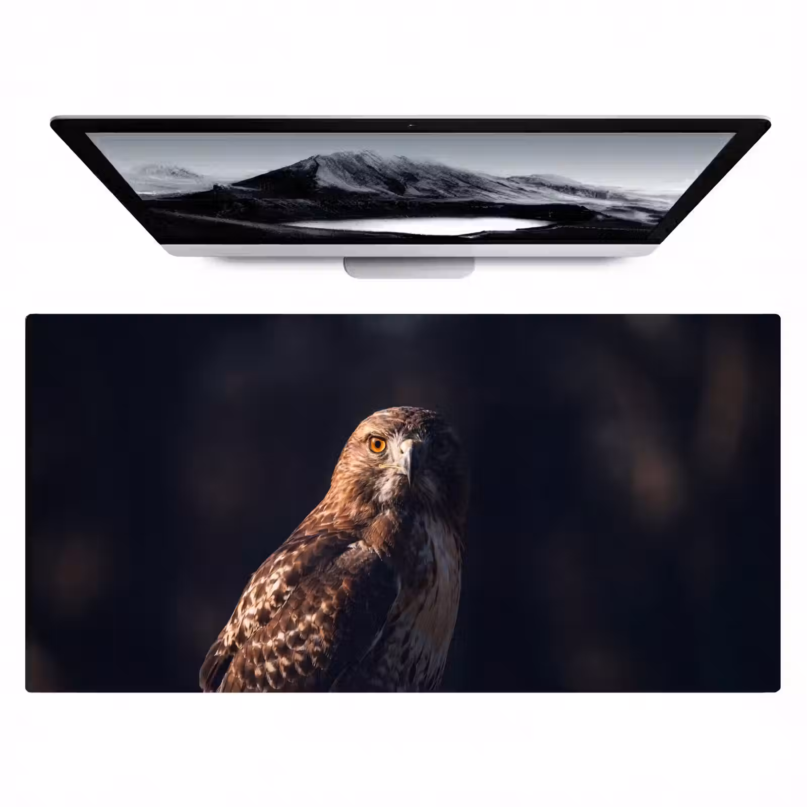 Bureau onderlegger - Roofvogel - Buizerd - Bruin — 1